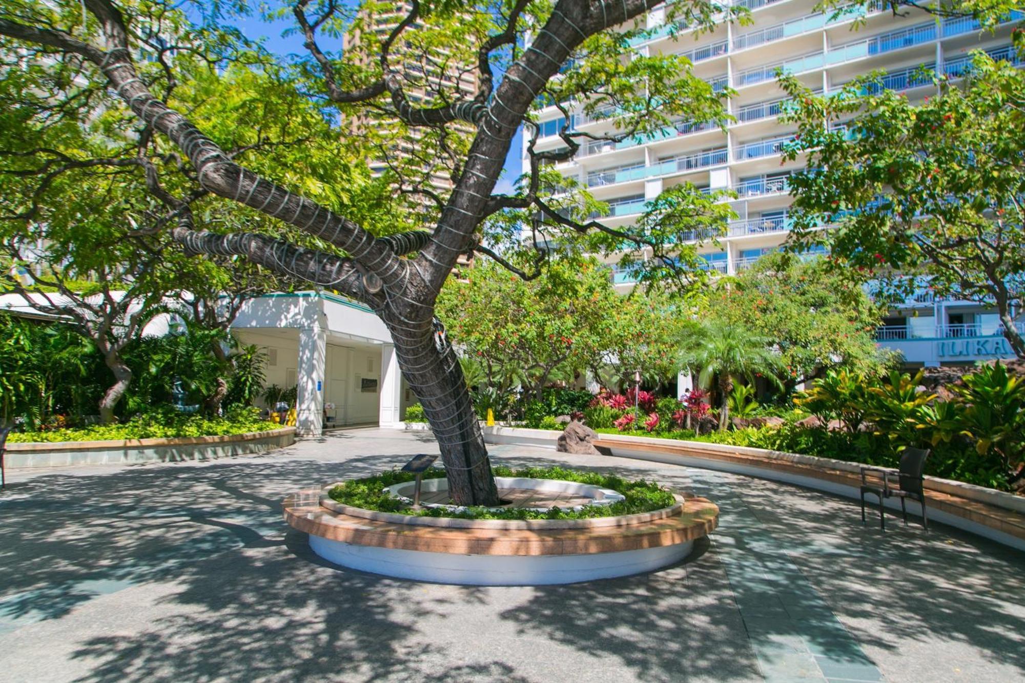 ホノルルIlikai Tower 931 Yacht Harbor View 1Brアパートメント エクステリア 写真